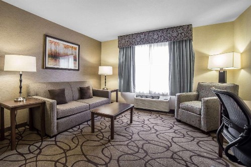 Comfort Suites Airport Salt Lake City - image 24
