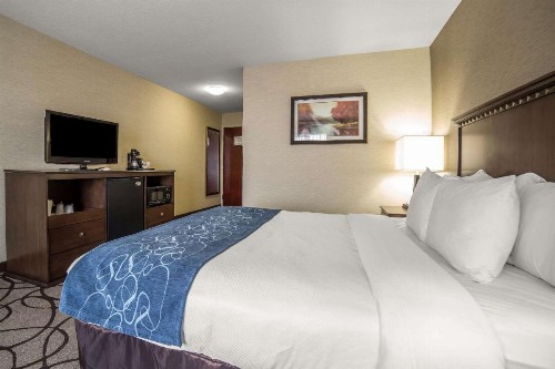 Comfort Suites Airport Salt Lake City - image 8
