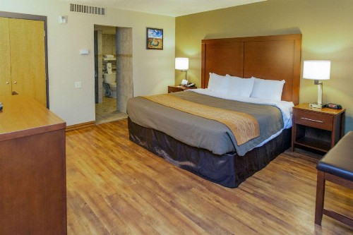 Comfort Inn Downtown Salt Lake City - image 10