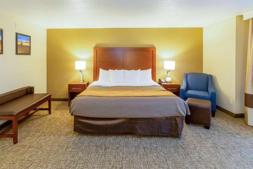 Comfort Inn Downtown Salt Lake City - image 11