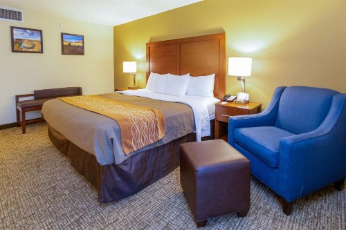 Comfort Inn Downtown Salt Lake City - image 12