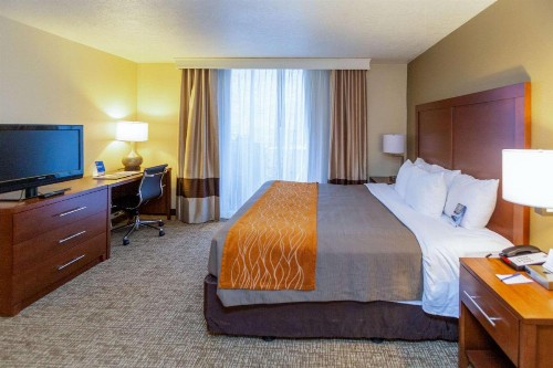 Comfort Inn Downtown Salt Lake City - image 13