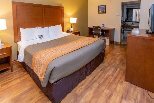 Comfort Inn Downtown Salt Lake City - image 15