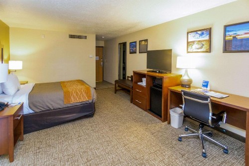 Comfort Inn Downtown Salt Lake City - image 16