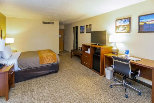 Comfort Inn Downtown Salt Lake City - image 36