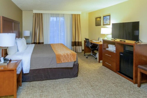 Comfort Inn Downtown Salt Lake City - image 40