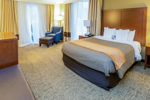 Comfort Inn Downtown Salt Lake City - image 46