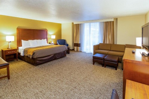 Comfort Inn Downtown Salt Lake City - image 47