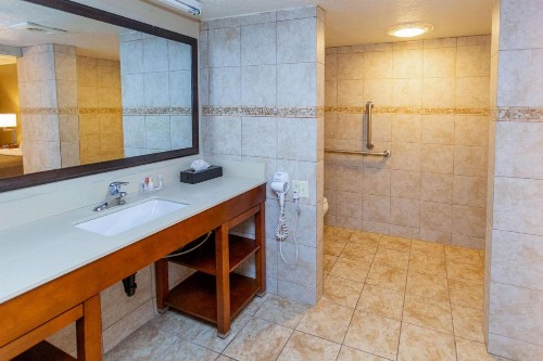 Comfort Inn Downtown Salt Lake City - image 8