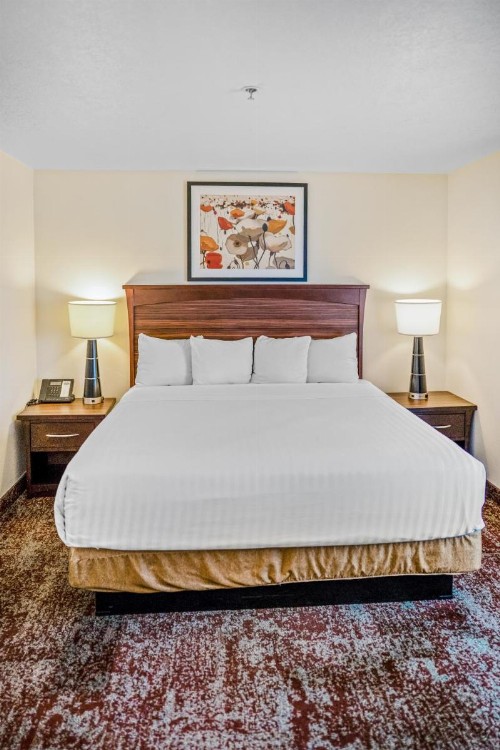 Crystal Inn Hotel & Suites - Salt Lake City - image 32