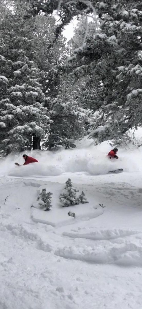 Inn at Snowbird - image 2