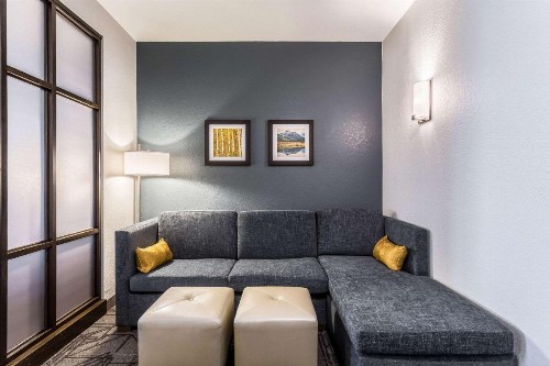 Comfort Inn & Suites Salt Lake City Airport - image 46