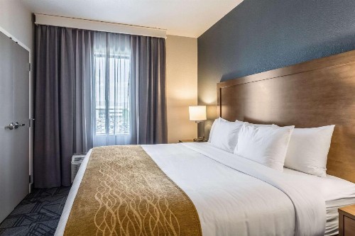 Comfort Inn & Suites Salt Lake City Airport - image 5