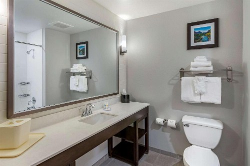 Comfort Inn & Suites Salt Lake City Airport - image 8