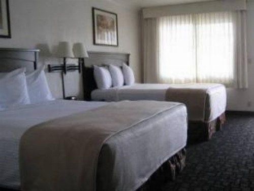 Discovery Inn