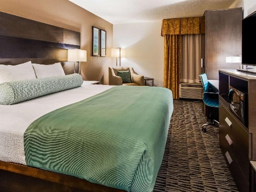 Best Western Plus Medical Center South - image 12