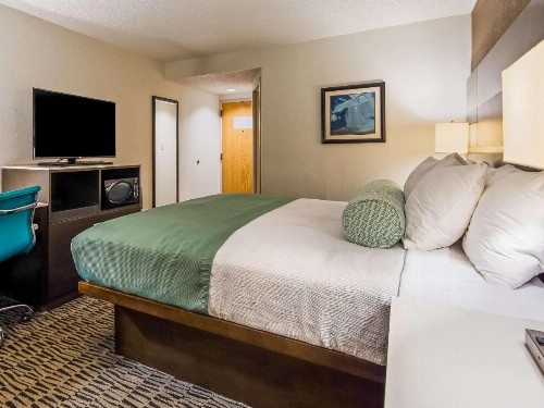 Best Western Plus Medical Center South - image 23