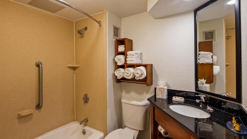 Best Western Plus Medical Center South - image 25