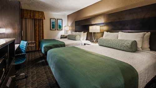 Best Western Plus Medical Center South - image 29
