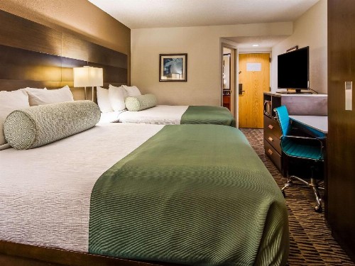Best Western Plus Medical Center South - image 3