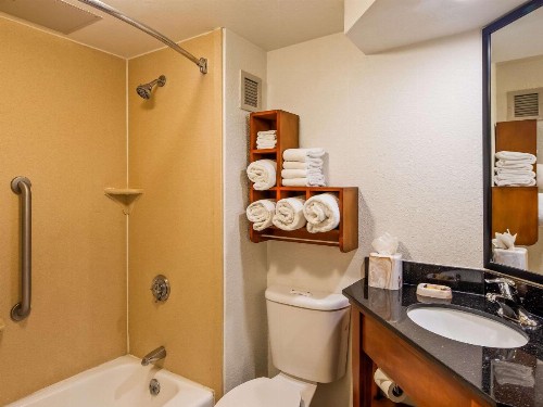 Best Western Plus Medical Center South - image 30