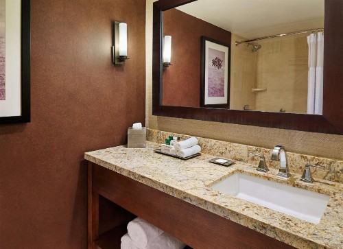 Hilton San Antonio Airport - image 18