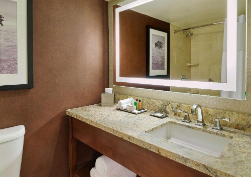 Hilton San Antonio Airport - image 21