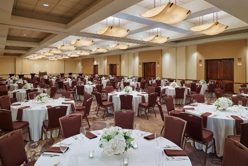 Hilton San Antonio Airport - image 30