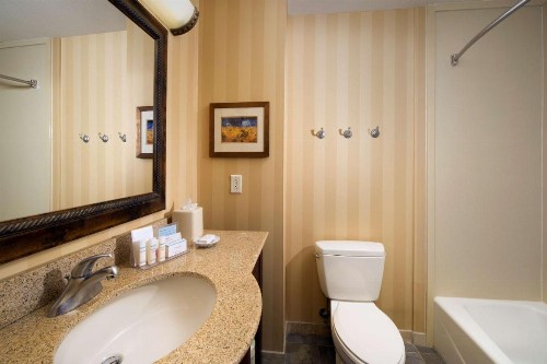Hampton Inn and Suites San Antonio Airport - image 26