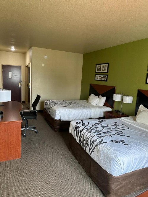 Sleep Inn and Suites at Six Flags - image 42