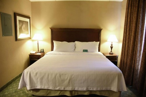 Homewood Suites by Hilton San Antonio North - image 25