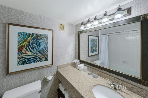 San Antonio Colonnade Hotel - image 10
