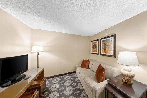 San Antonio Colonnade Hotel - image 8