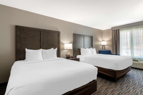 Comfort Inn & Suites Near Medical Center - image 14