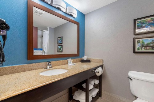 Comfort Inn & Suites Near Medical Center - image 17