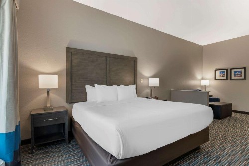 Comfort Inn & Suites Near Medical Center - image 19