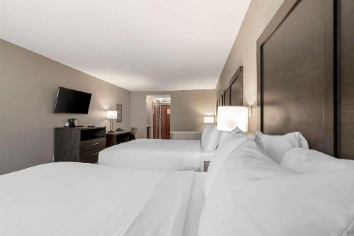Comfort Inn & Suites Near Medical Center - image 23