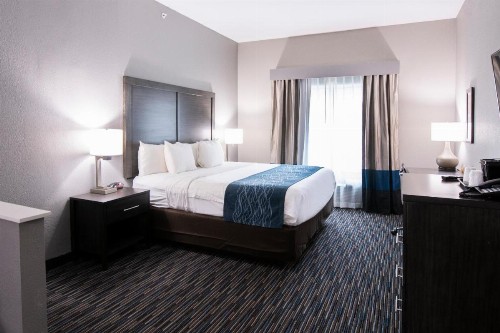 Comfort Inn & Suites Near Medical Center - image 36