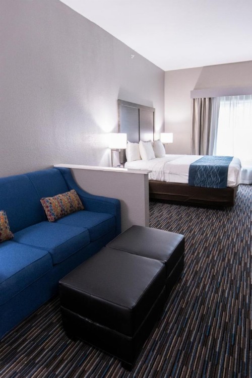 Comfort Inn & Suites Near Medical Center - image 38