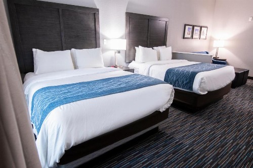 Comfort Inn & Suites Near Medical Center - image 39