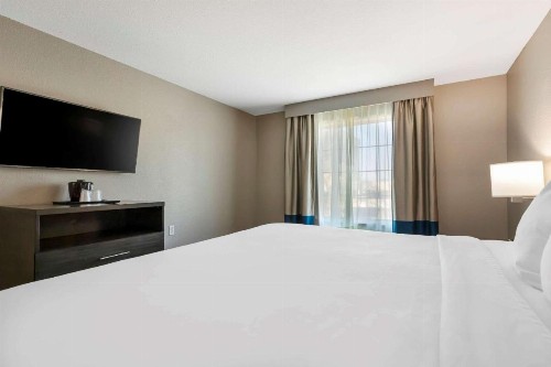 Comfort Inn & Suites Near Medical Center - image 6