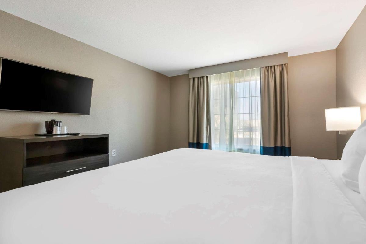 Comfort Inn & Suites Near Medical Center - image 6