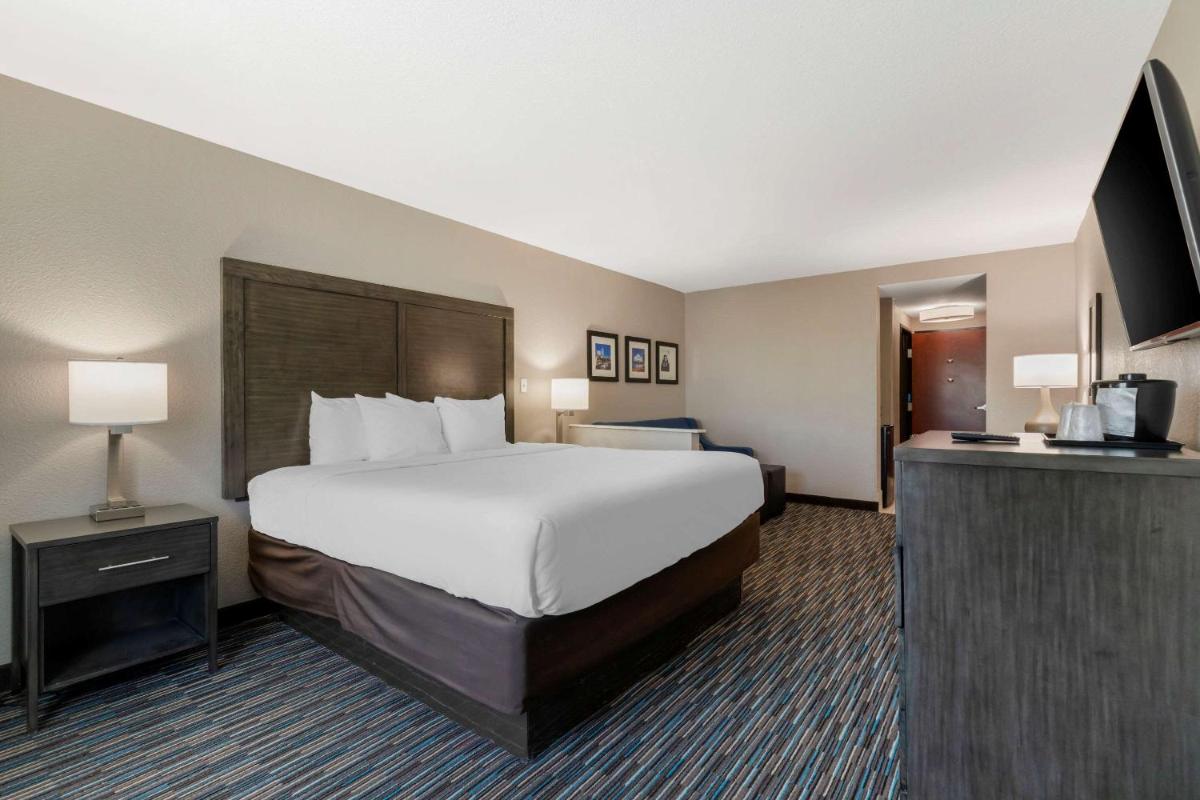 Comfort Inn & Suites Near Medical Center - image 7