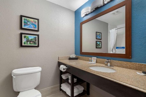 Comfort Inn & Suites Near Medical Center - image 9