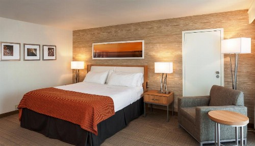 Holiday Inn San Antonio-Downtown/Market Square an IHG Hotel - image 9