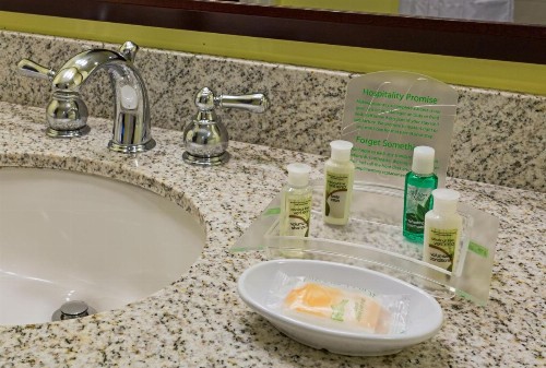 Holiday Inn San Antonio-Riverwalk an IHG Hotel - image 2
