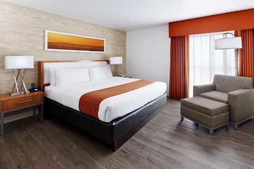 Holiday Inn San Antonio-Riverwalk an IHG Hotel - image 20