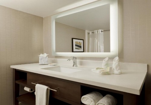 Holiday Inn San Antonio-Riverwalk an IHG Hotel - image 32