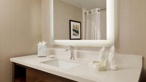 Holiday Inn San Antonio-Riverwalk an IHG Hotel - image 44