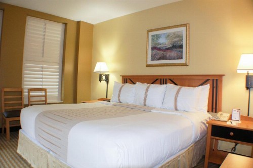 The Crockett Hotel - image 12